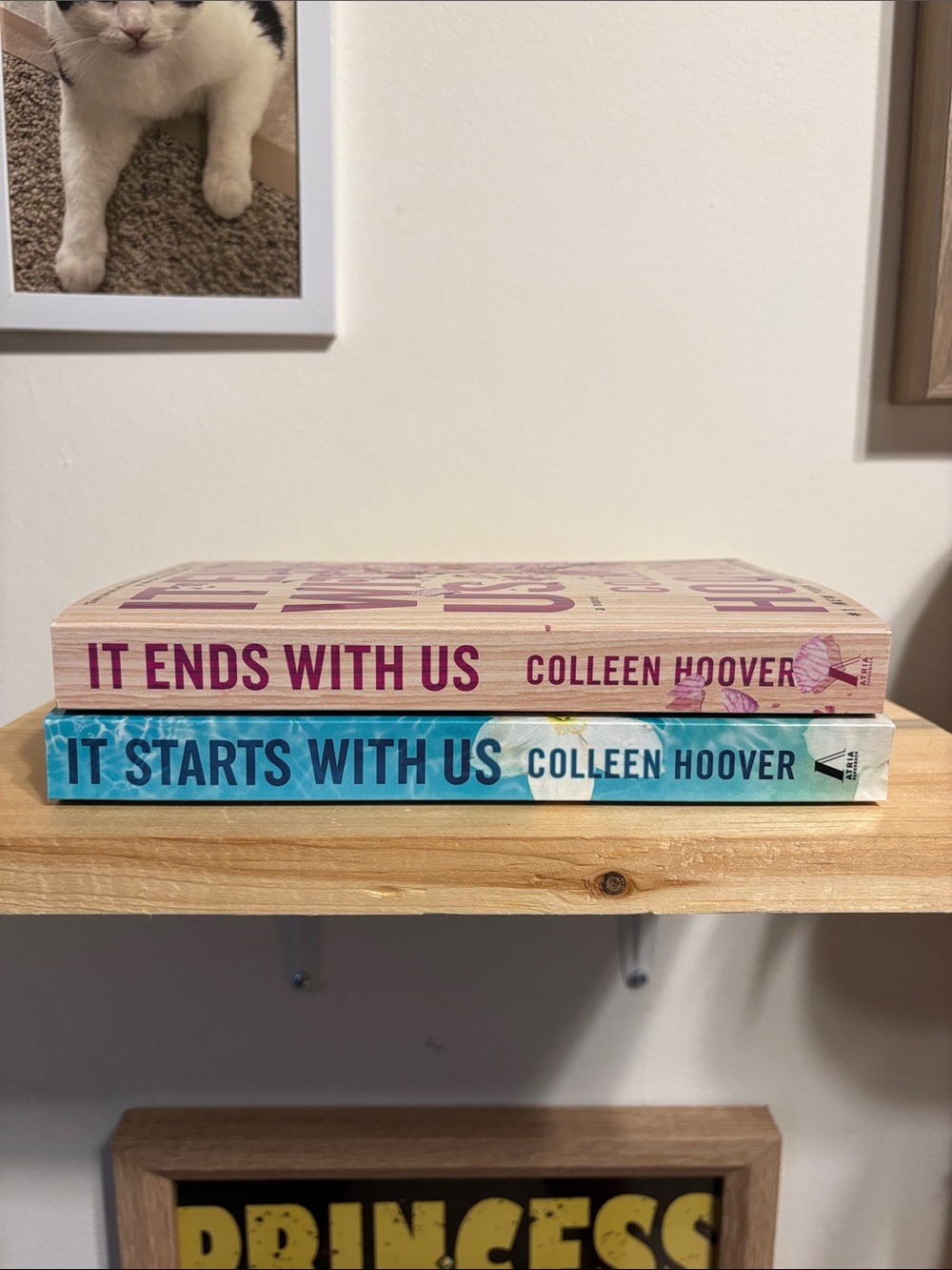It Starts and Ends With Us - Colleen Hoover Duology